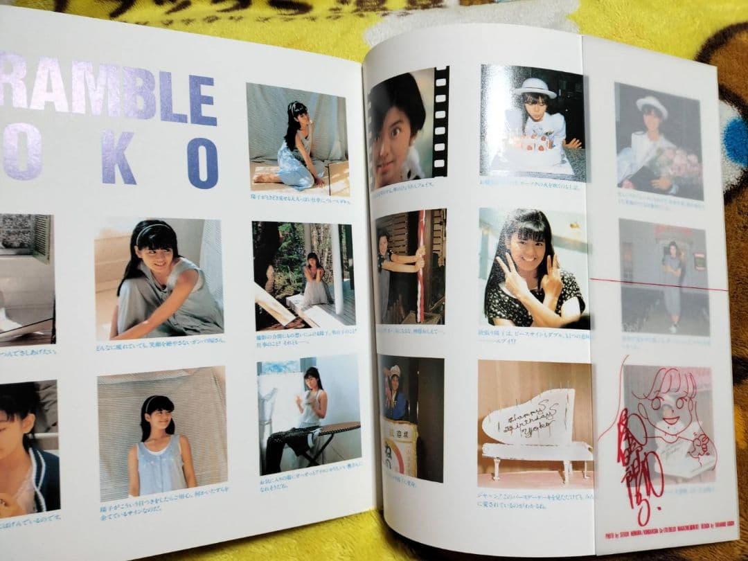 南野陽子DVD ボックス　 完全生産限定盤20周年