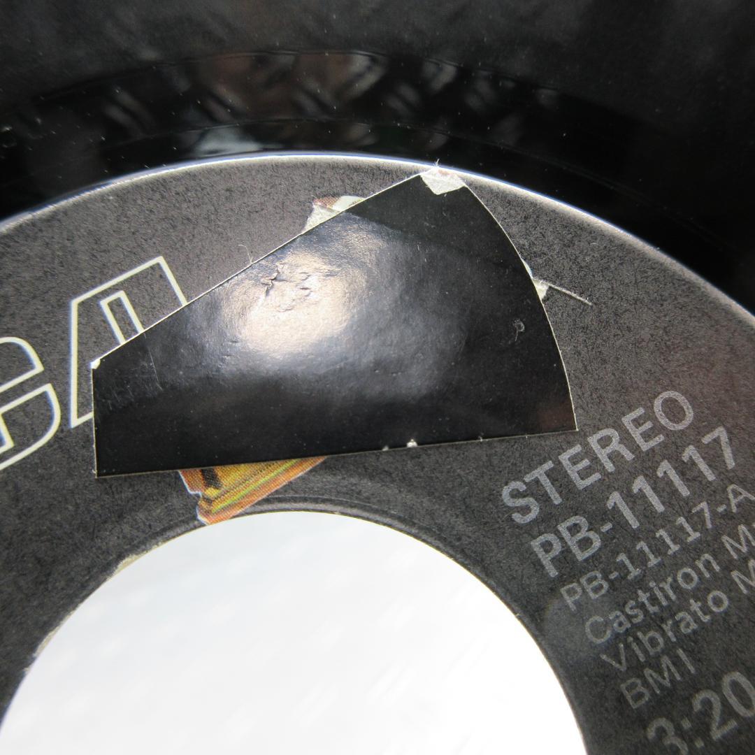 s*g様 ★THE TRUMAINS / RIPE FOR THE PICKIN