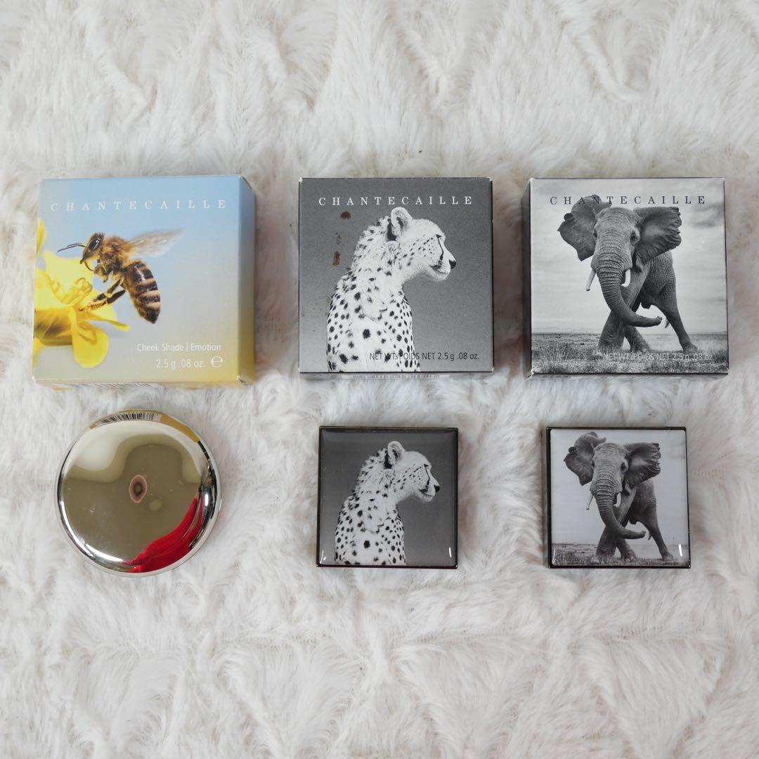 CHANTECAILLE 限定版 アイシャドウパレット等セット