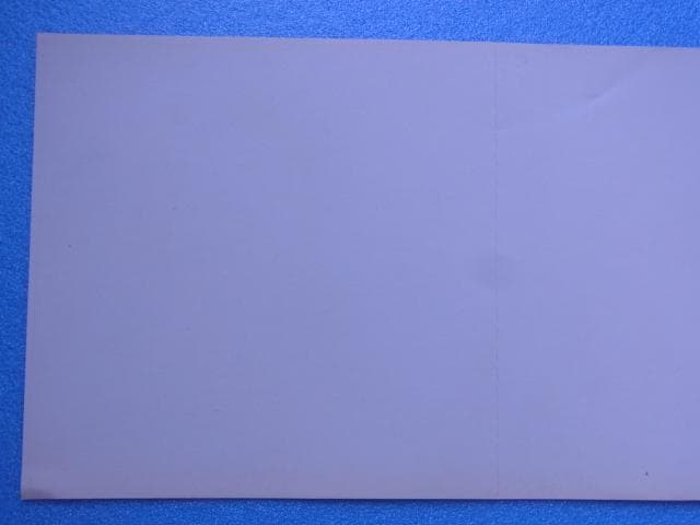 非売品　セクシーパロディウス　プレイステーション　ダミージャケット　見本　PS