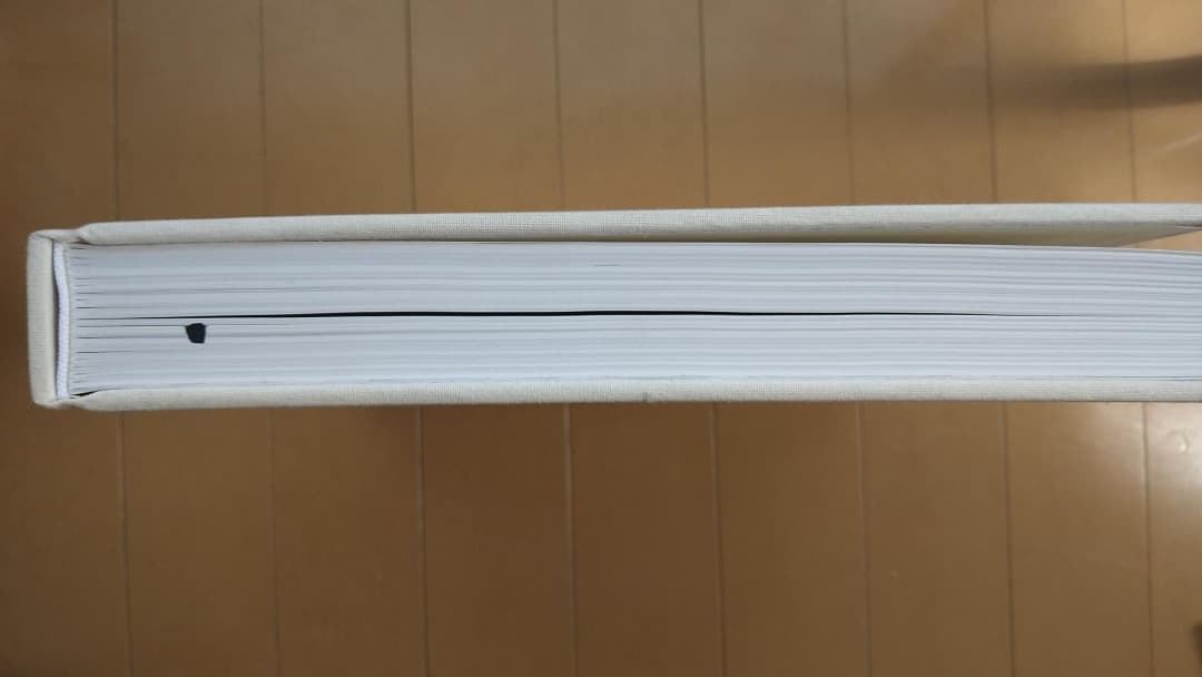 絶版本 Robert Ryman Phaidon ハードカバー