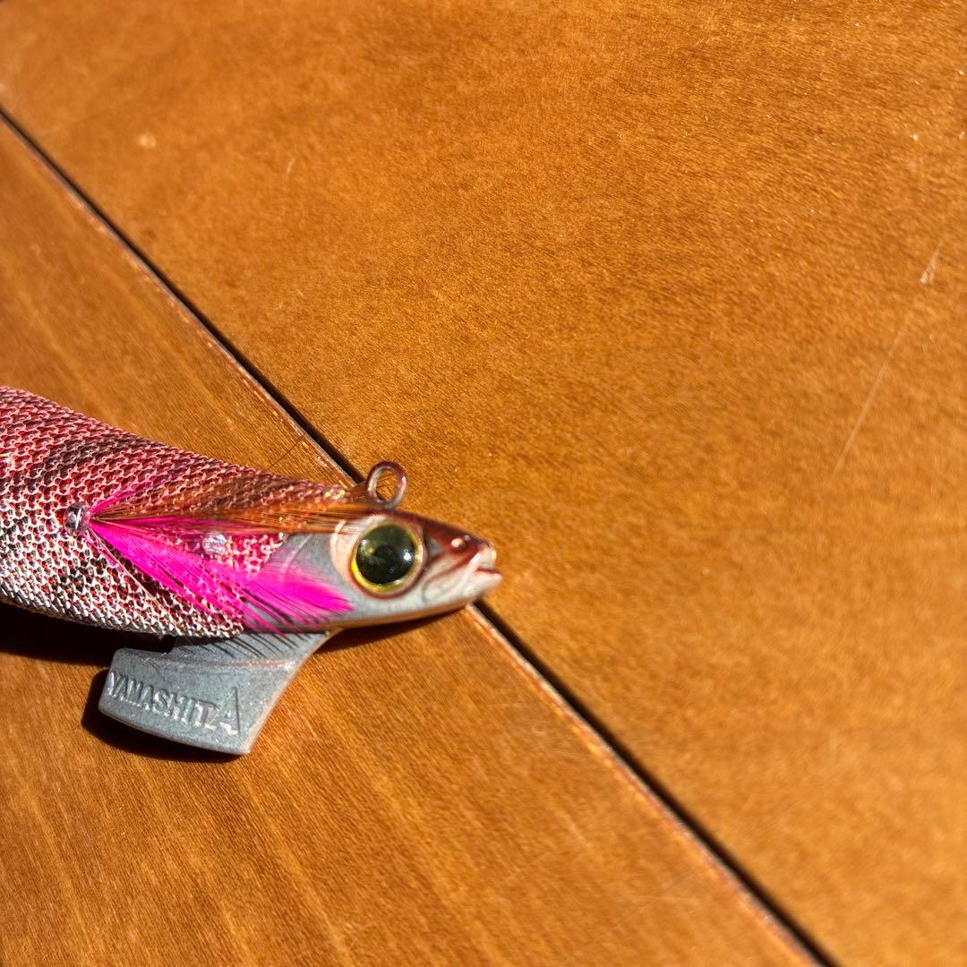 エギ王TR サーチ