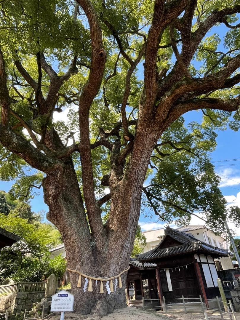 大林宣彦監督尾道三部作「転校生、時をかける少女、さびしんぼう」ロケ地マップ　2冊