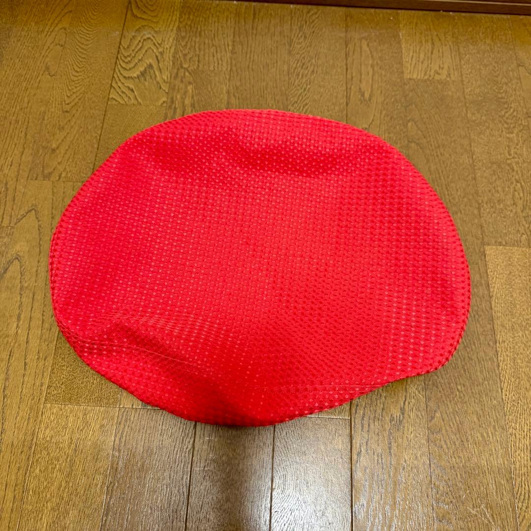 【美品】サカモトハウス バランスイージー 赤 カバー付