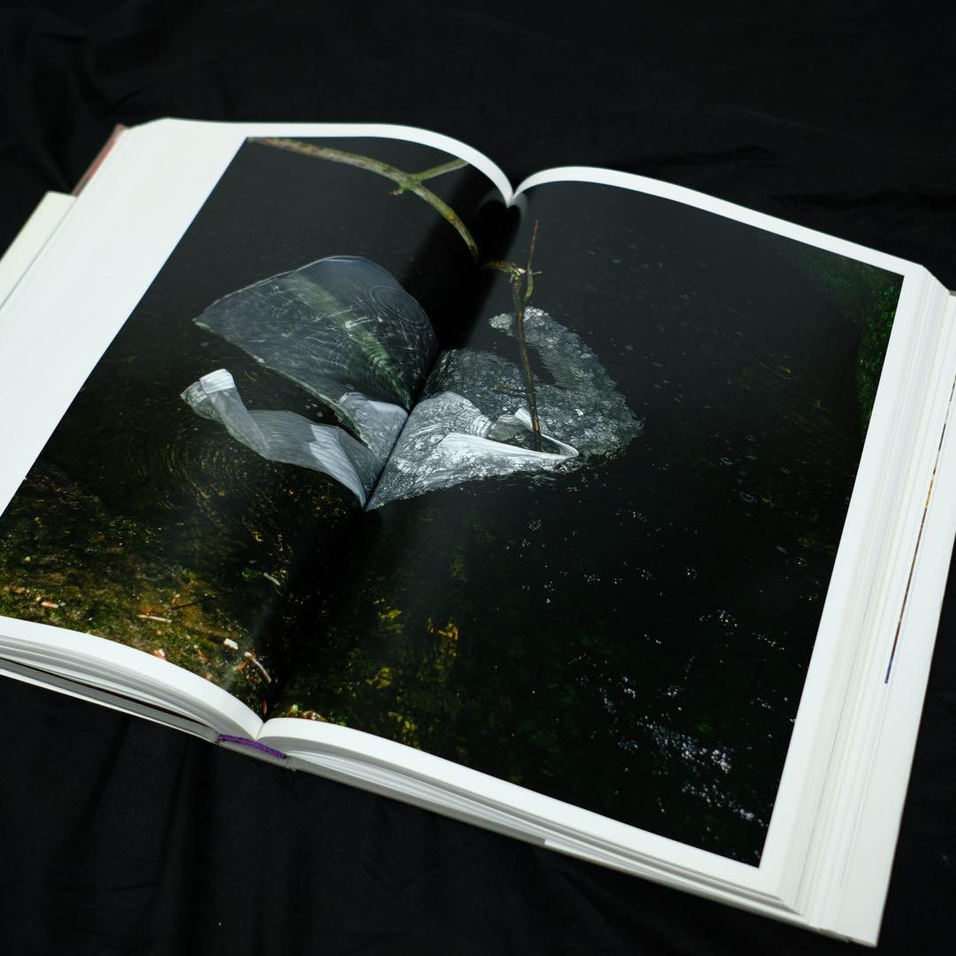 PURPLE COSMOS Hubble Space Telescope 洋書