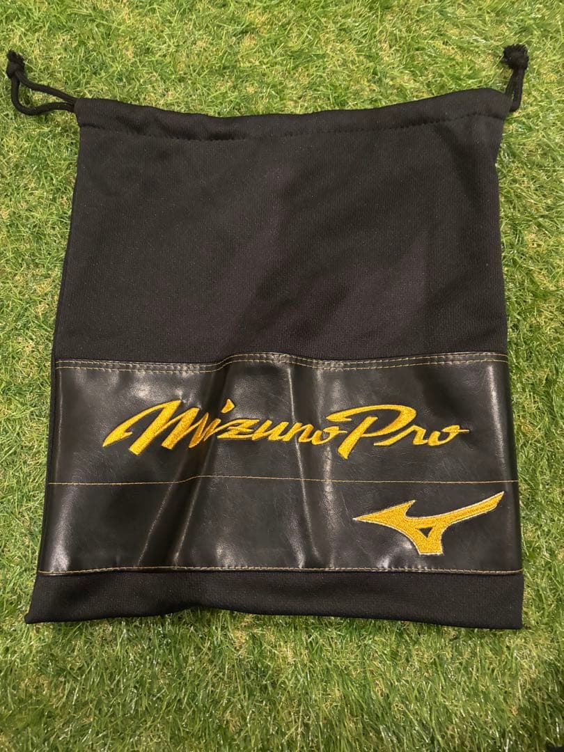 【スヌーピー】ミズノプロ 硬式用キャッチャーミット -號- SAKEBI