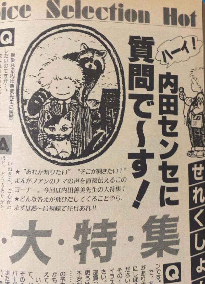 ぶ〜けせれくしょん 内田善美大特集