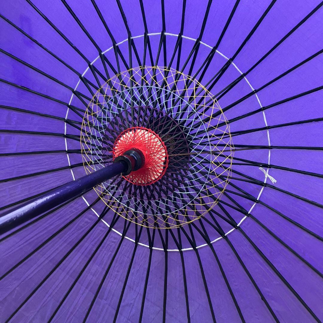 日本舞踊　紫　和傘　踊り傘　撮影　ディスプレイ　舞傘　コスプレ