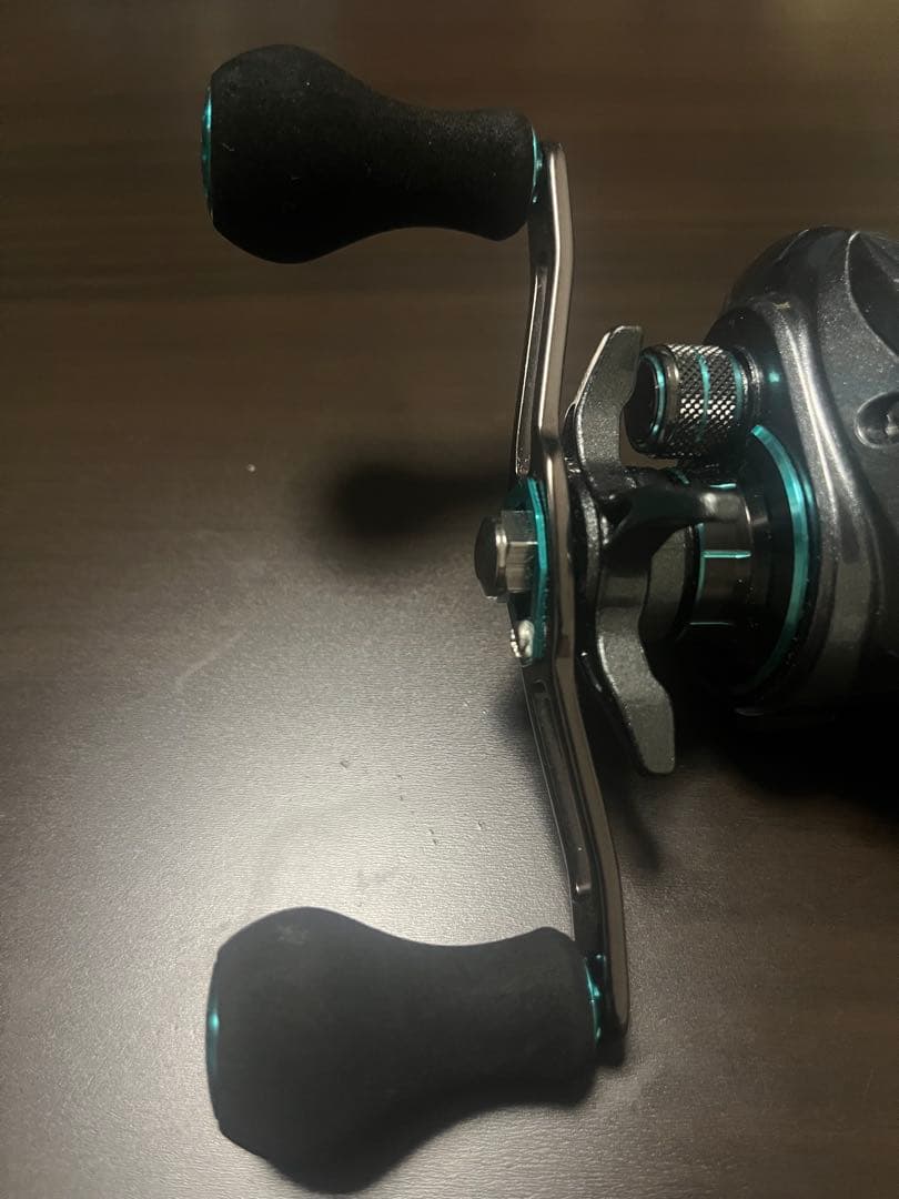 【本日限定大幅値下げ中】ダイワSW X IC SS ダブルハンドル