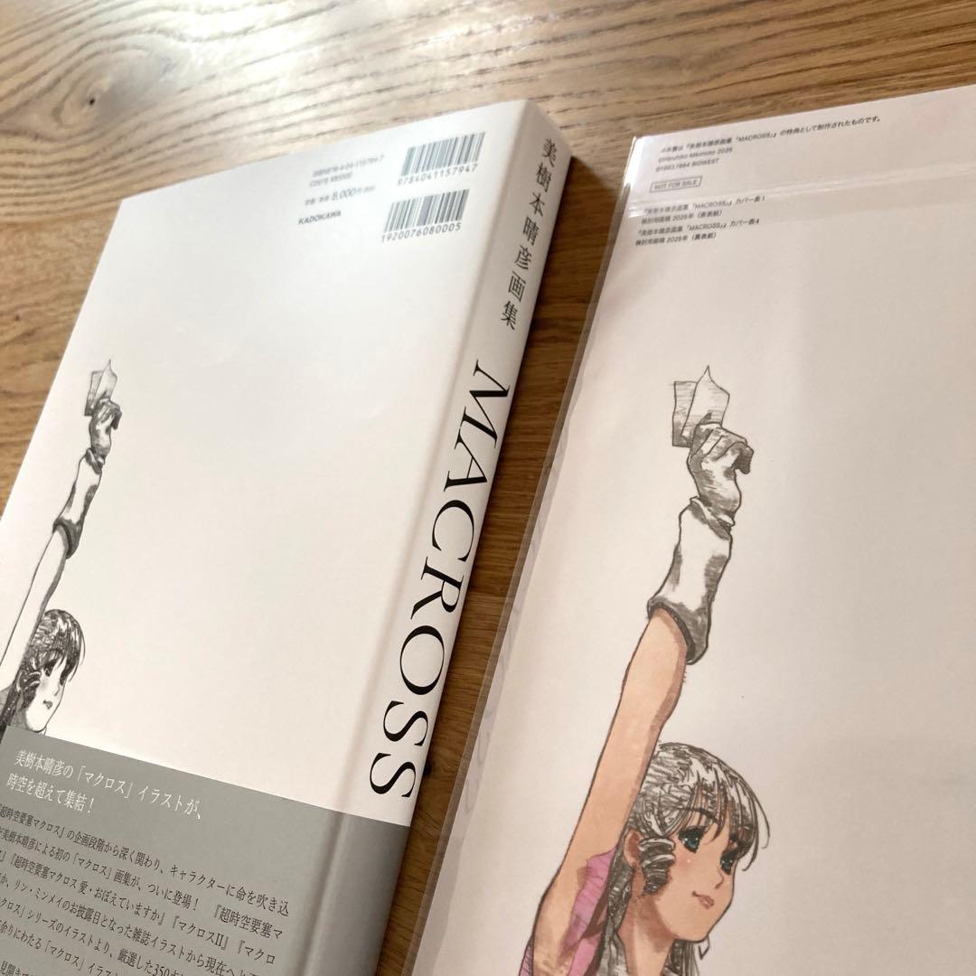 【最終　新品】美樹本晴彦　画集　マクロス　特典冊子付き　リンミンメイ　飯島真理