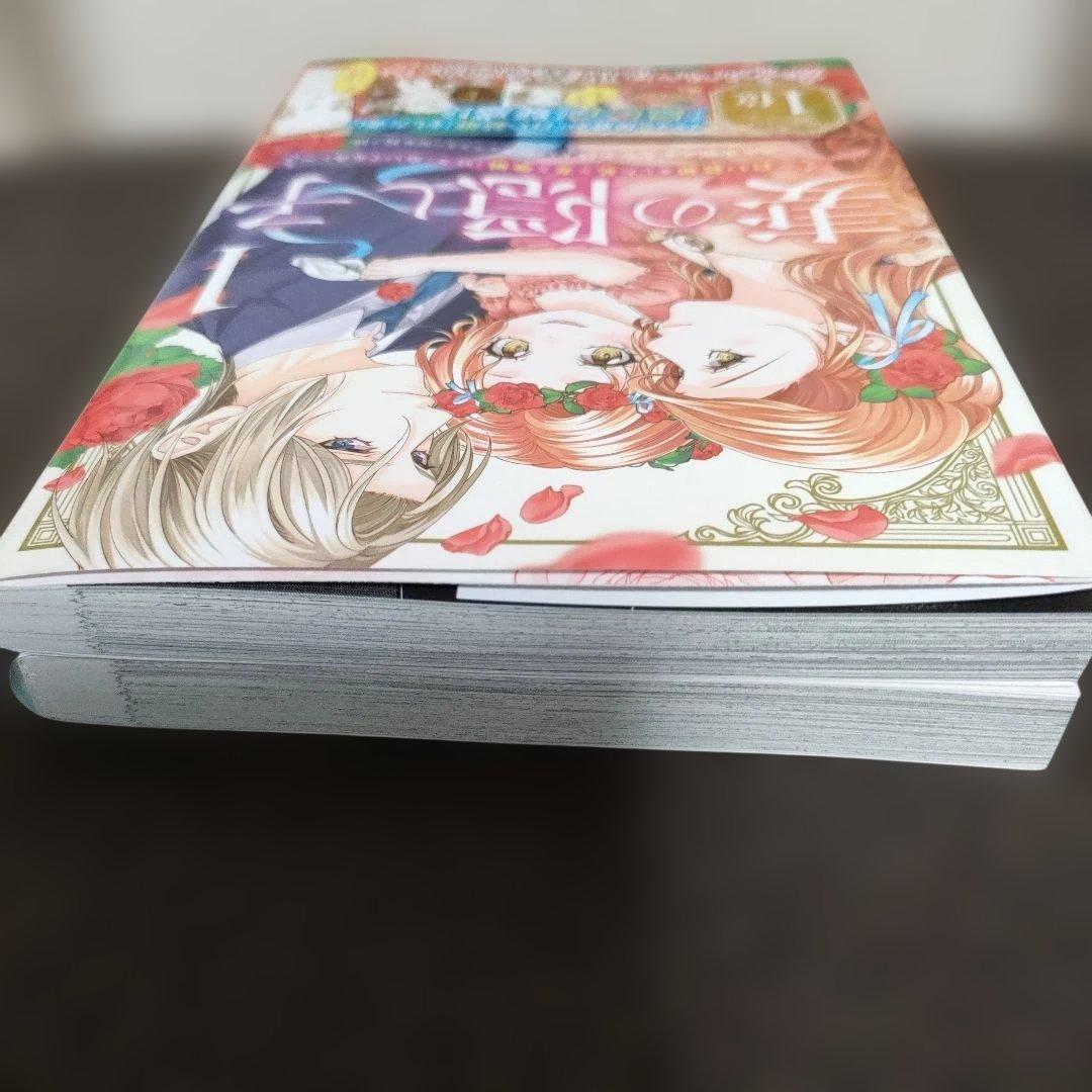 婚約解消を提案したら王太子様に溺愛されました ～お手をどうぞ、僕の君～　その他