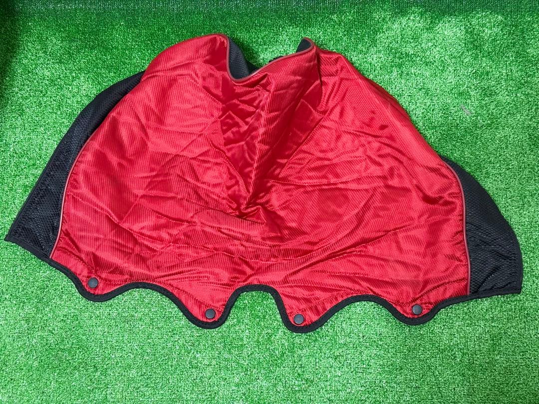 プロギア イグニオ 初心者 レディース ゴルフクラブセット フルセット 一式