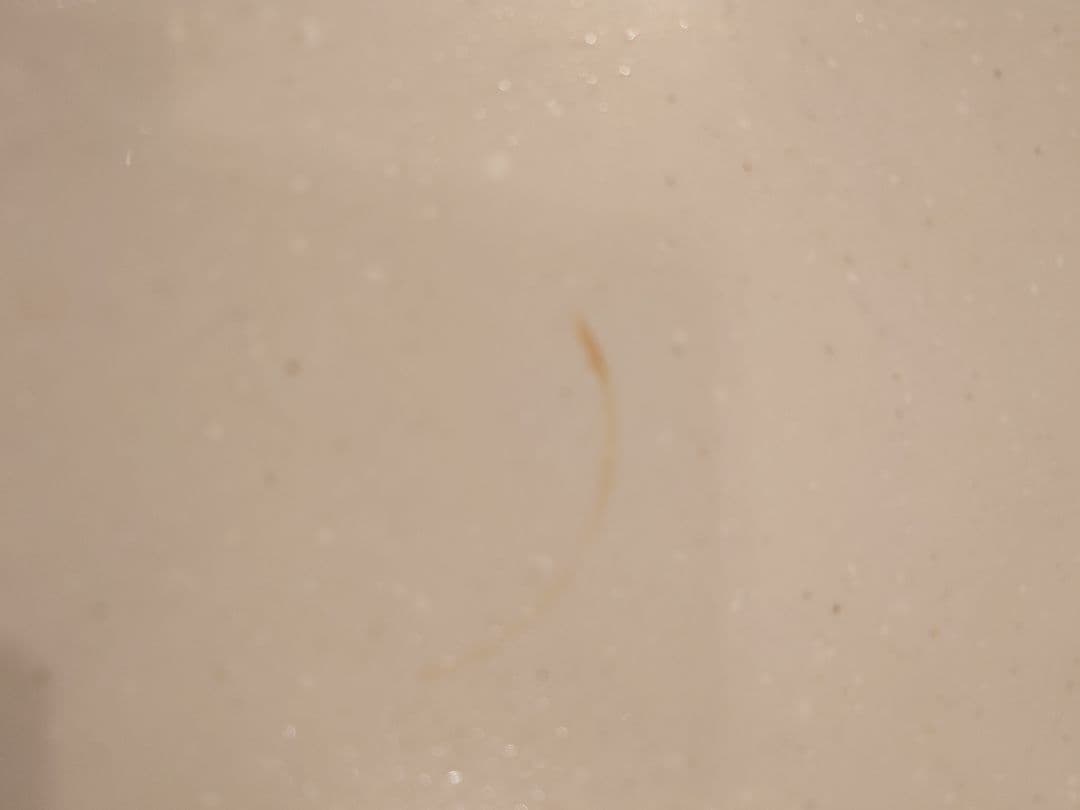 4月まで　マナベ　キッチンカウンター 　人工大理石 ウォールナッツ