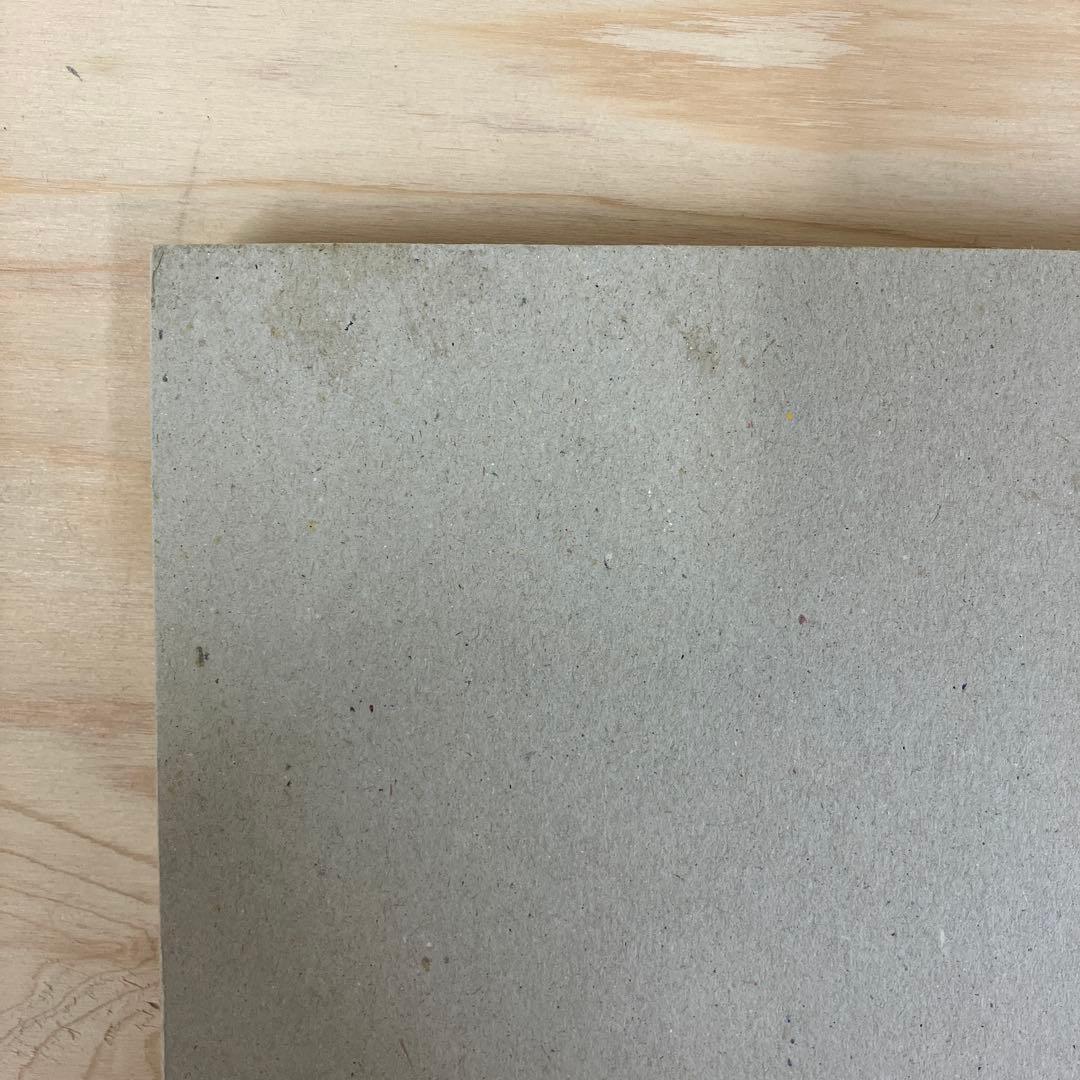 Mark Borthwick 写真集　not in fashion