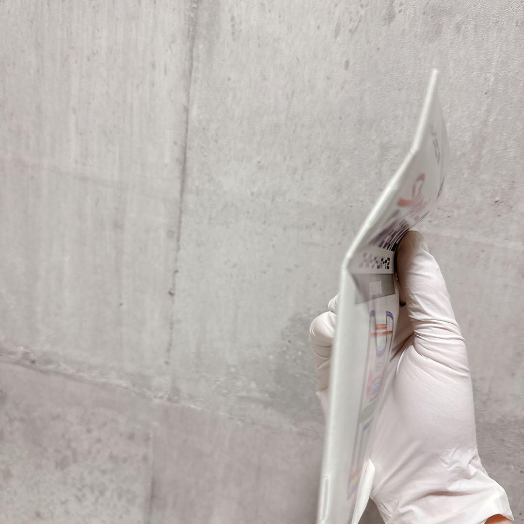 スーパーゲームボーイ2 動作確認済 Nintendo SuperGameBoy2