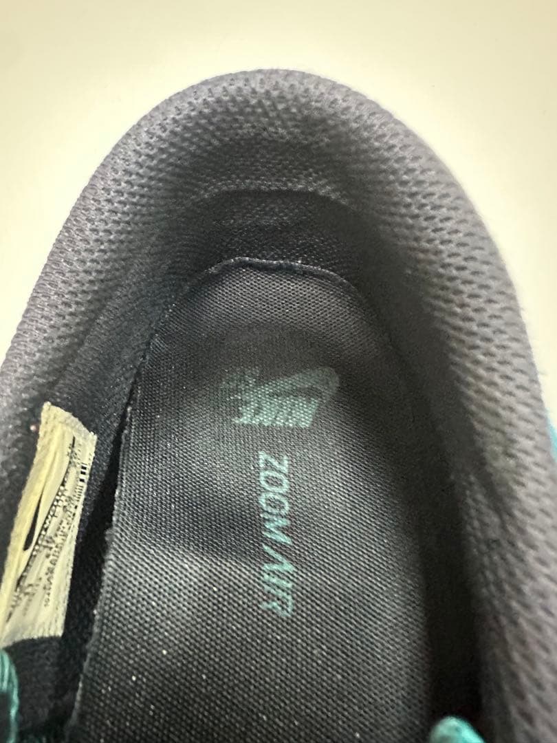 NIKE SB ZOOM TEAM EDITION ターコイズ29cm