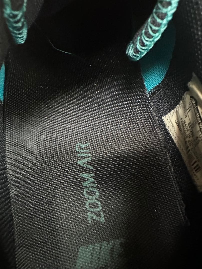 NIKE SB ZOOM TEAM EDITION ターコイズ29cm