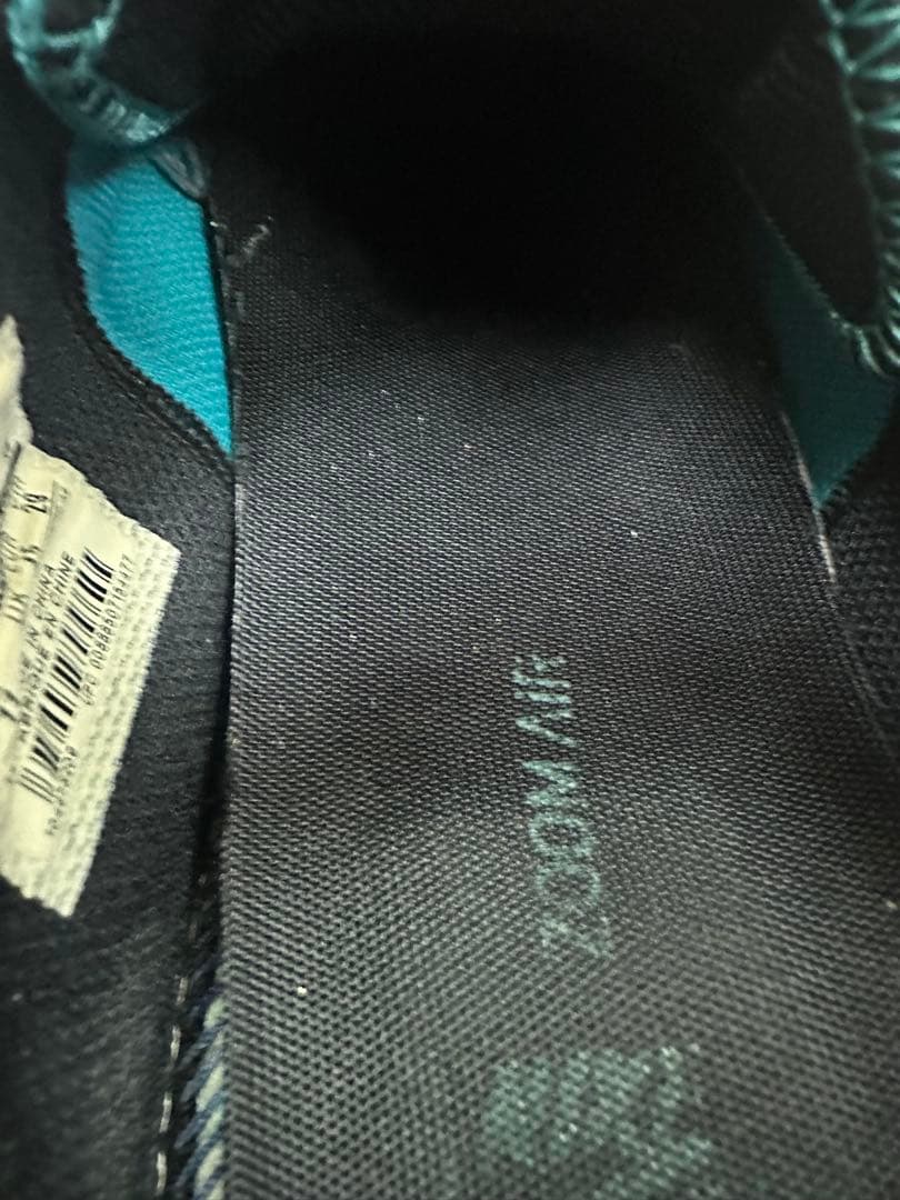 NIKE SB ZOOM TEAM EDITION ターコイズ29cm