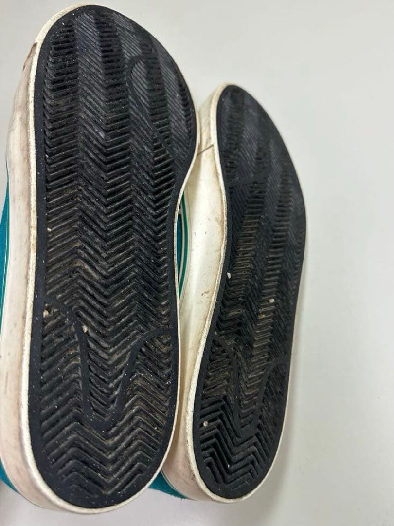 NIKE SB ZOOM TEAM EDITION ターコイズ29cm