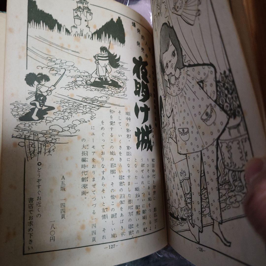 手塚治虫　孔雀貝