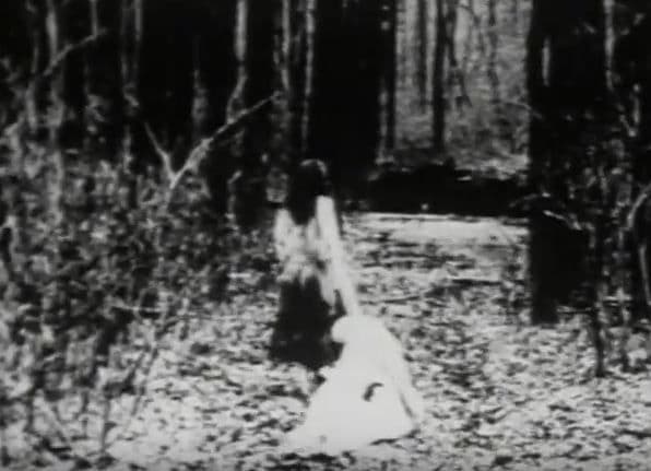 BEGOTTEN DVD ホラー グロテスク スプラッター