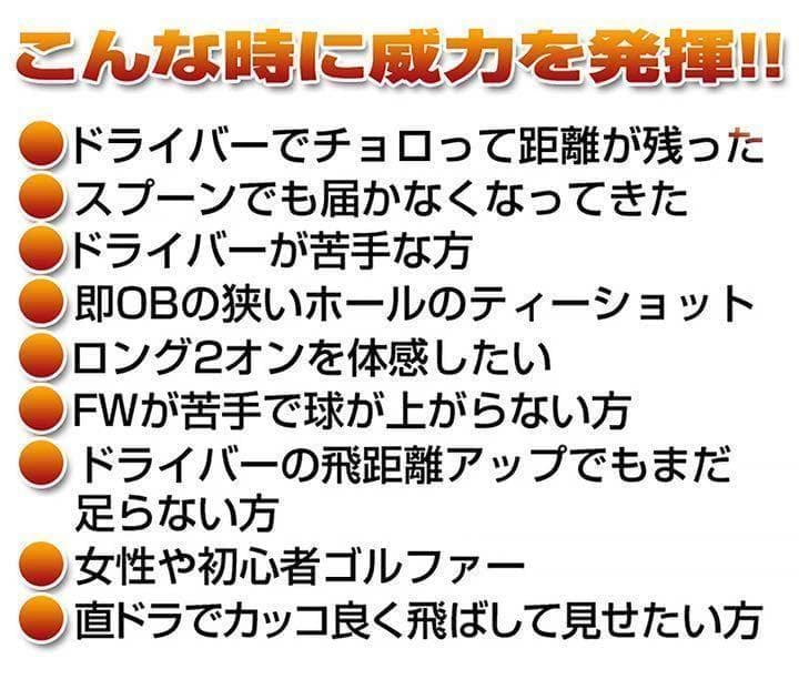 【ヘッドのみ】1.2番FWも! 優しい超大型激飛び2オン兵器◆ フォーサイトFW
