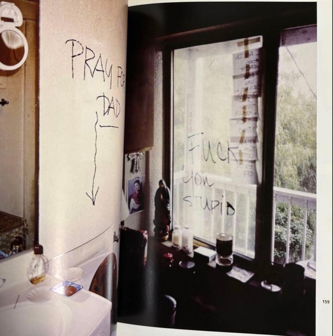 ポスター付‼️ THE JOURNAL Ryan McGinley