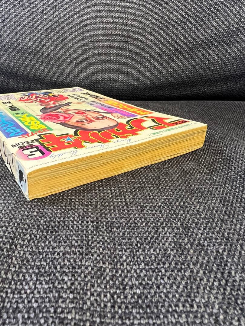 月刊マンガ少年1979年5月号 火の鳥・サイボーグ009掲載