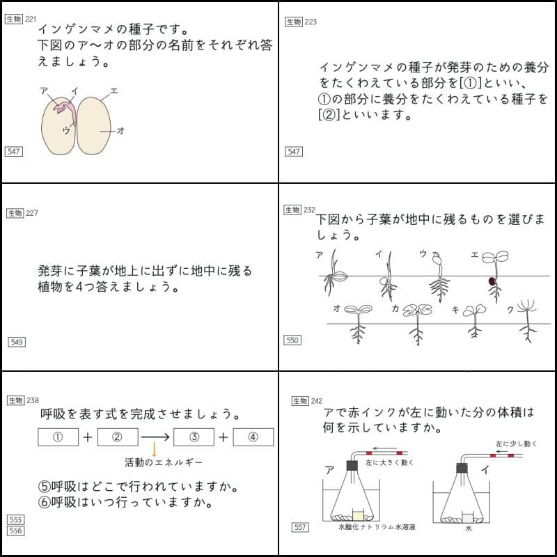 中学受験　暗記カード　理科 　生物　サピックス　予習シリーズ　コアプラス