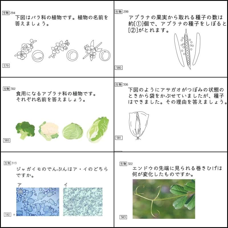 中学受験　暗記カード　理科 　生物　サピックス　予習シリーズ　コアプラス