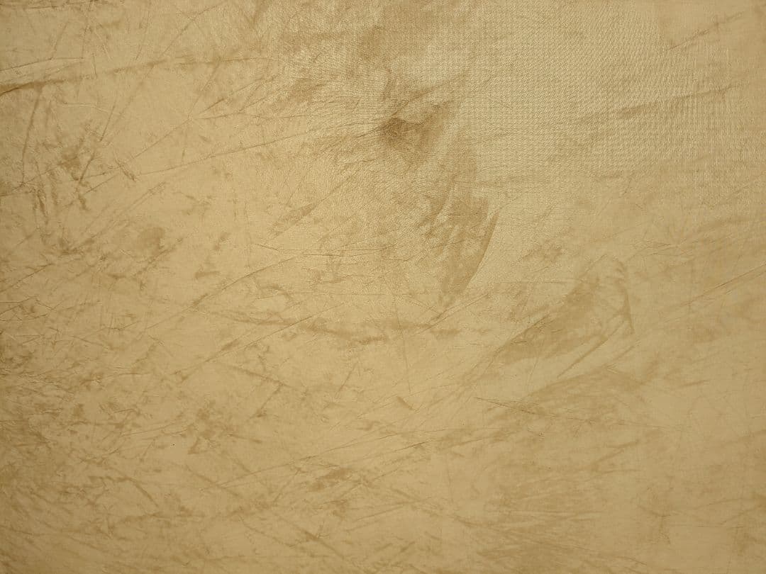 コールマン　スクリーンキャノピージョイントタープⅡ　ジョイント用リッジポール欠品