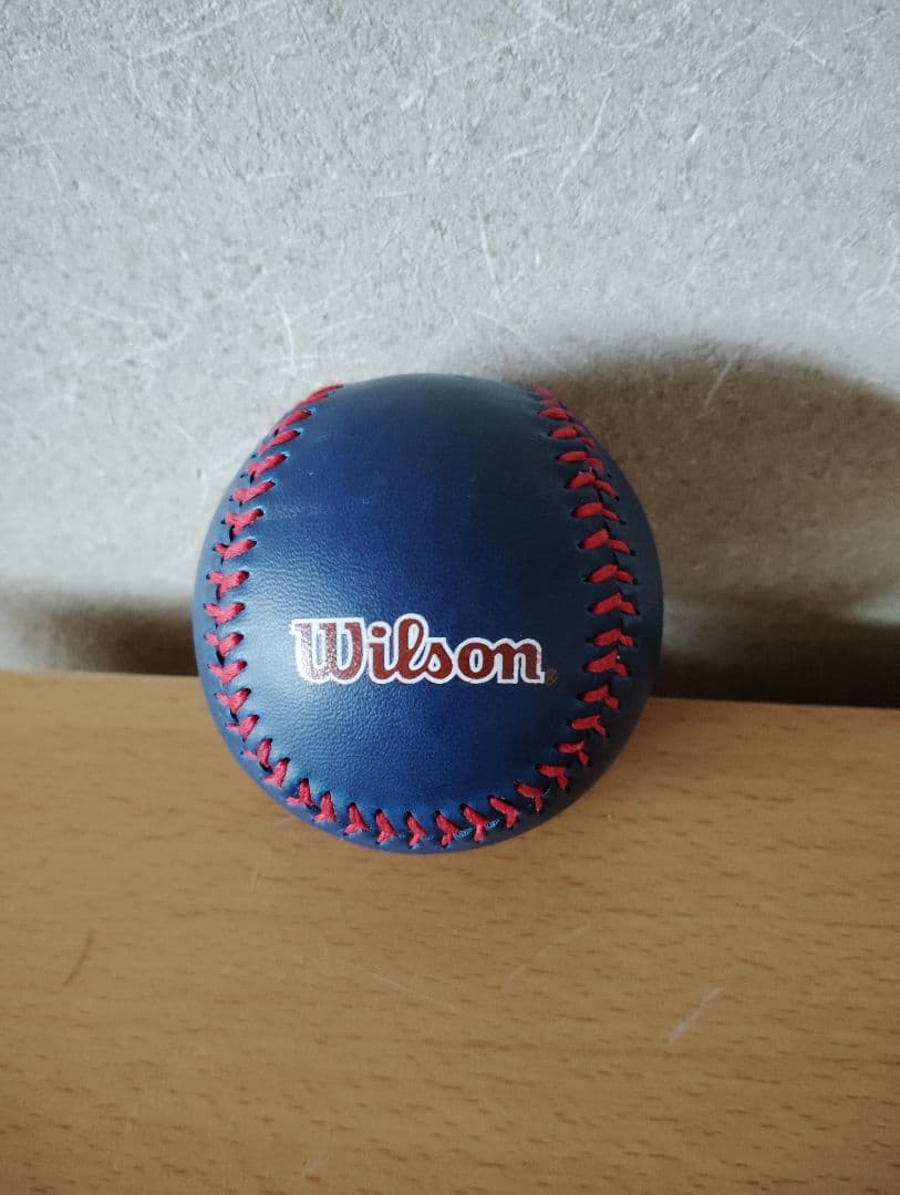 Wilson　グローブ　ボール　リュック　キッズ