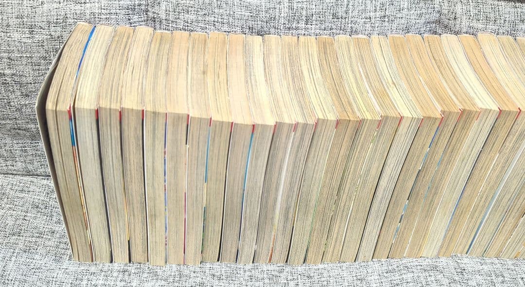 天は赤い河のほとり 全巻・ファンブック・暁に立つライオン 全３０冊セット