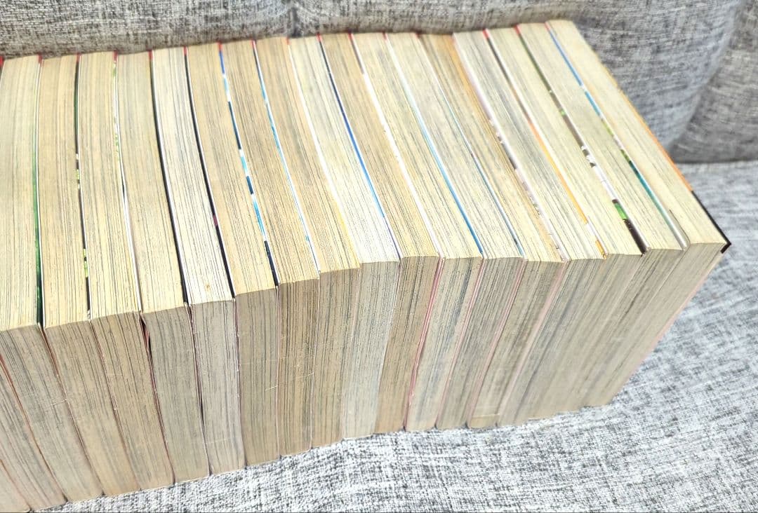 天は赤い河のほとり 全巻・ファンブック・暁に立つライオン 全３０冊セット