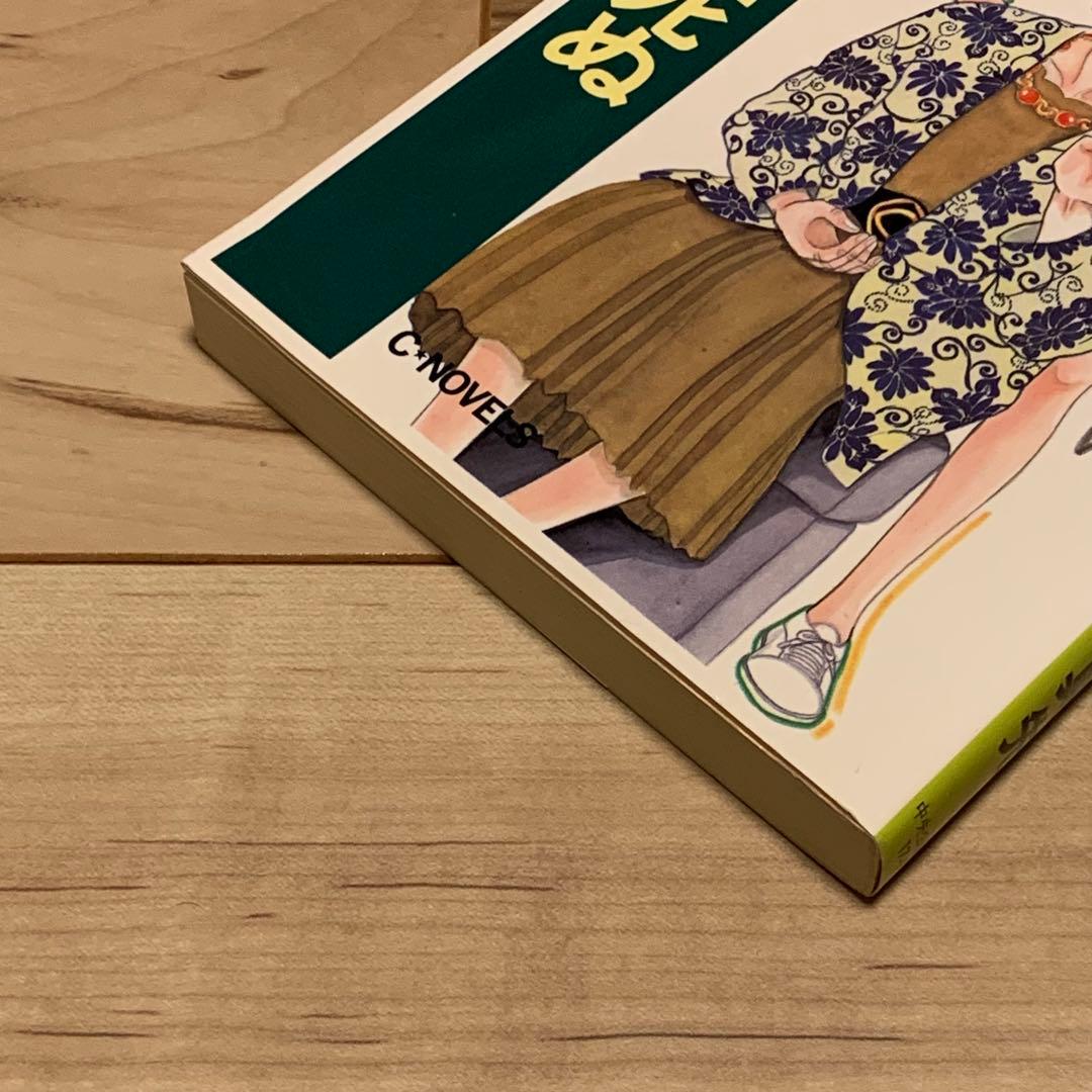 初版 辻真先 知床岬に夏は死ぬ イラスト竹宮恵子 CNOVELS