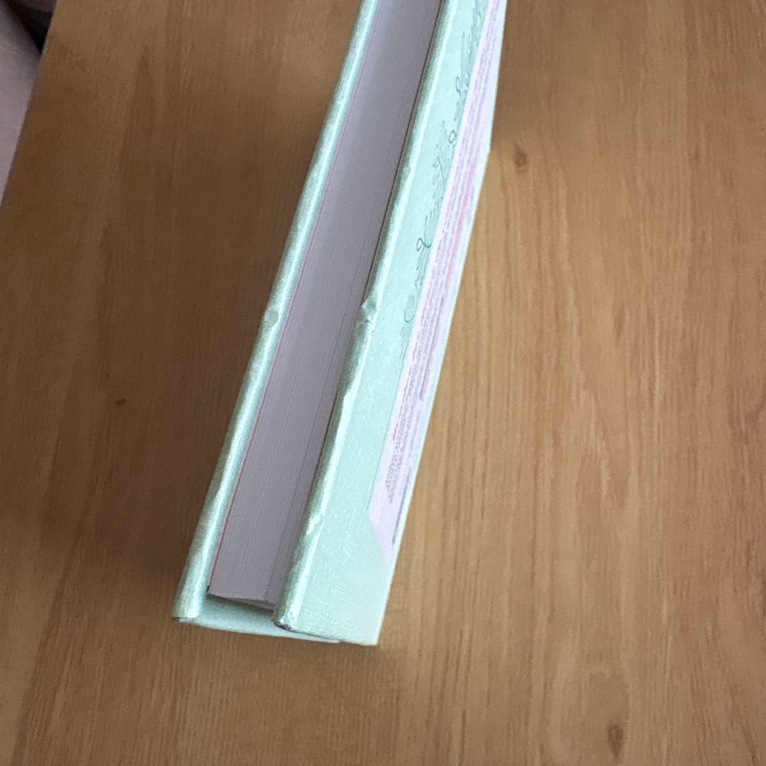 洋書 Agenda point de croix 2019