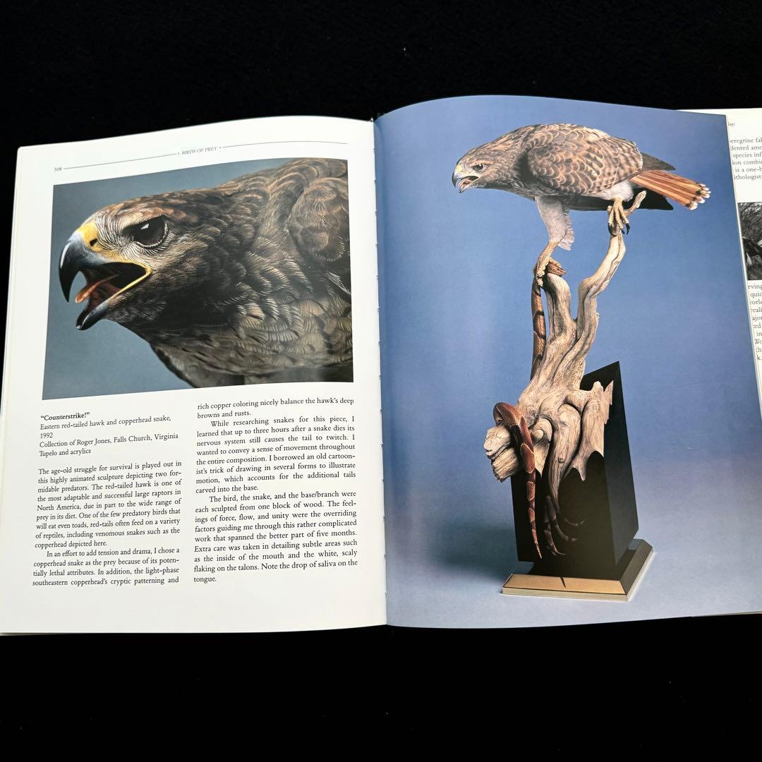 タカ ハヤブサなど猛禽類 写真集「Birds of Prey」フロイド・ショルツ