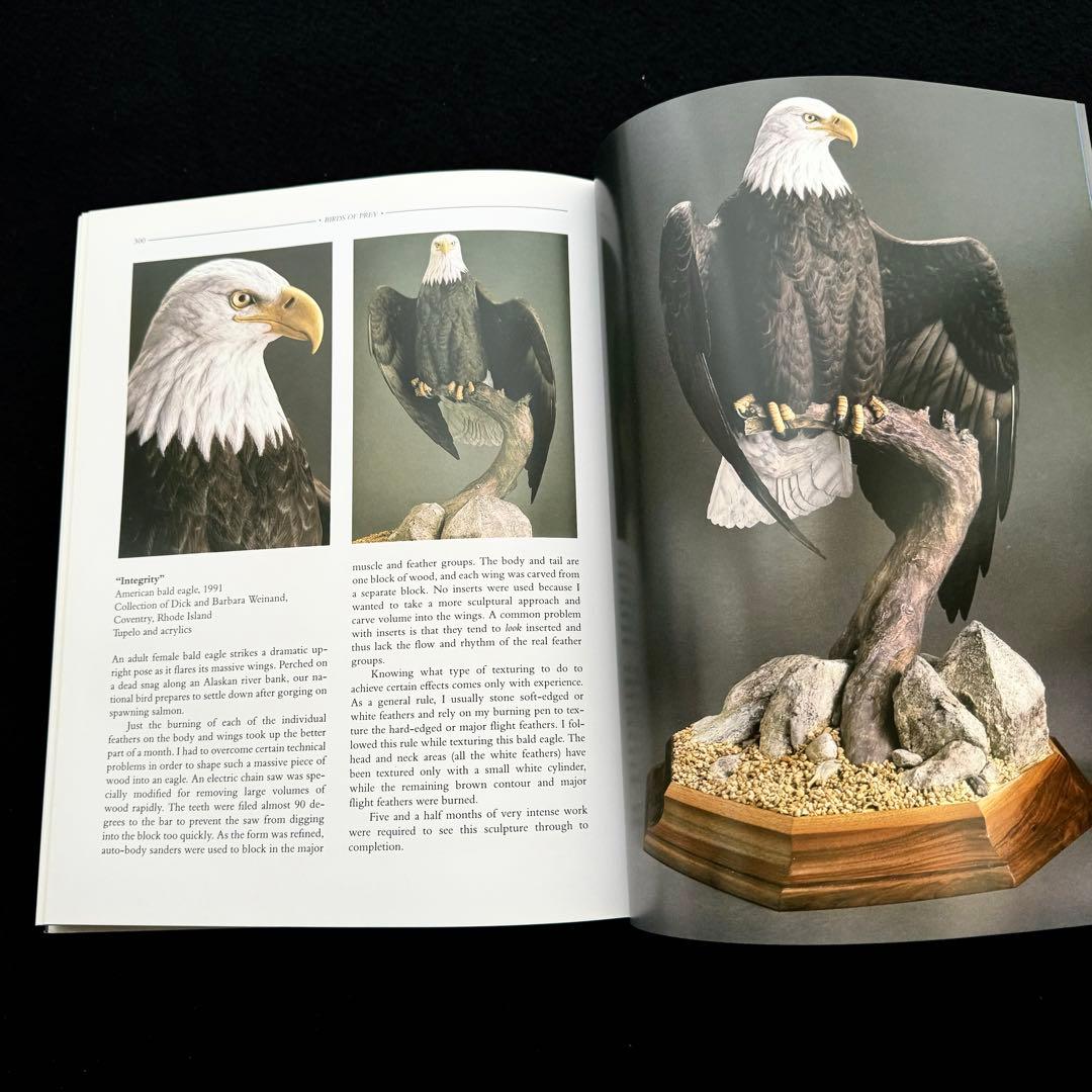 タカ ハヤブサなど猛禽類 写真集「Birds of Prey」フロイド・ショルツ