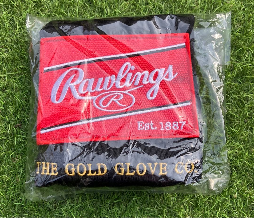 新品未使用　専用袋付　ローリングス　硬式　グローブ グラブ　内野