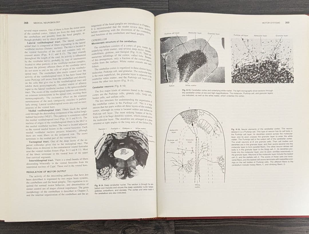 洋書　Medical Neurobiology