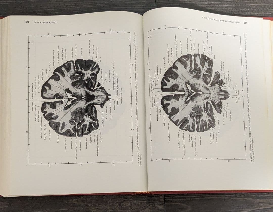 洋書　Medical Neurobiology