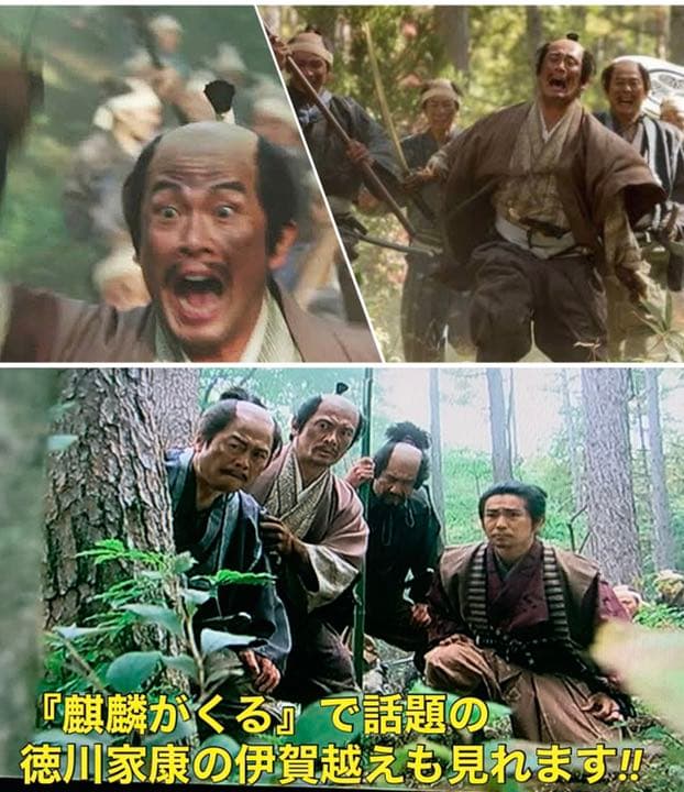 【送料無料】大河ドラマ 真田丸 完全版 DVD 全巻 セット　堺雅人