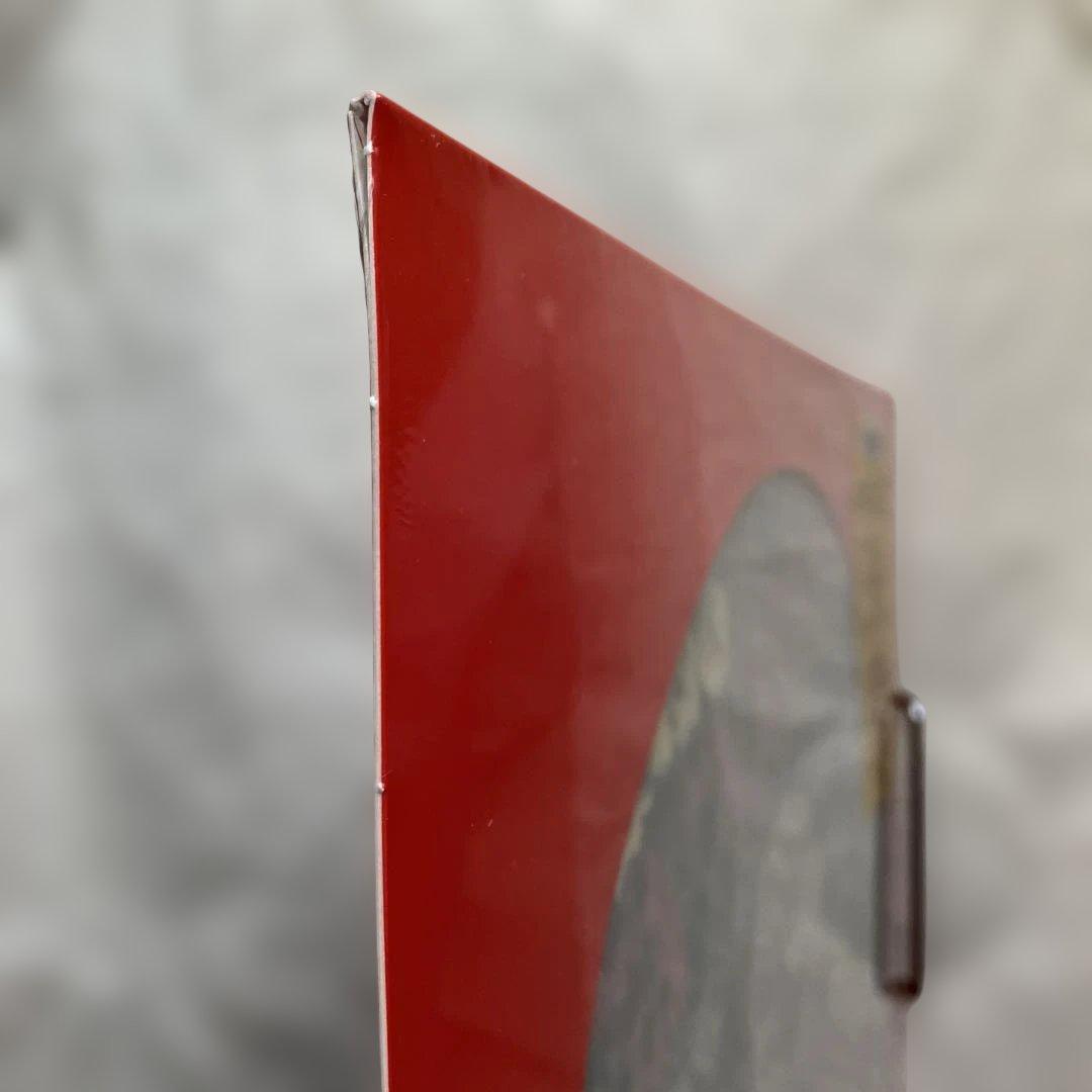 12インチ/THE BEATLES SGT. PEPPER'S 限定版 [B]