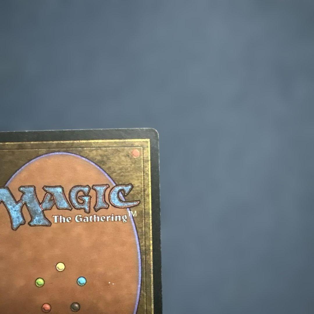 MTG 初代アリーナランド島　２枚セット