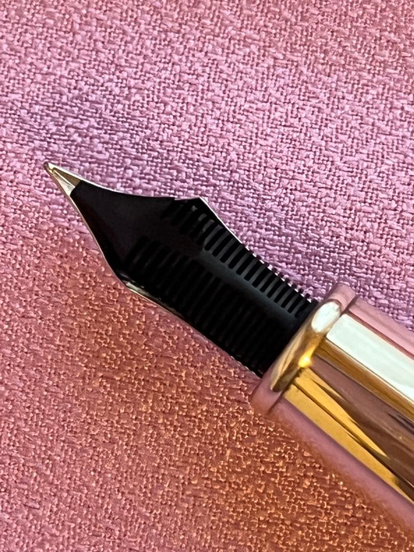 ☆説明確認の上購入してください☆アウロラ 万年筆 オチェアーノ アルティコ F