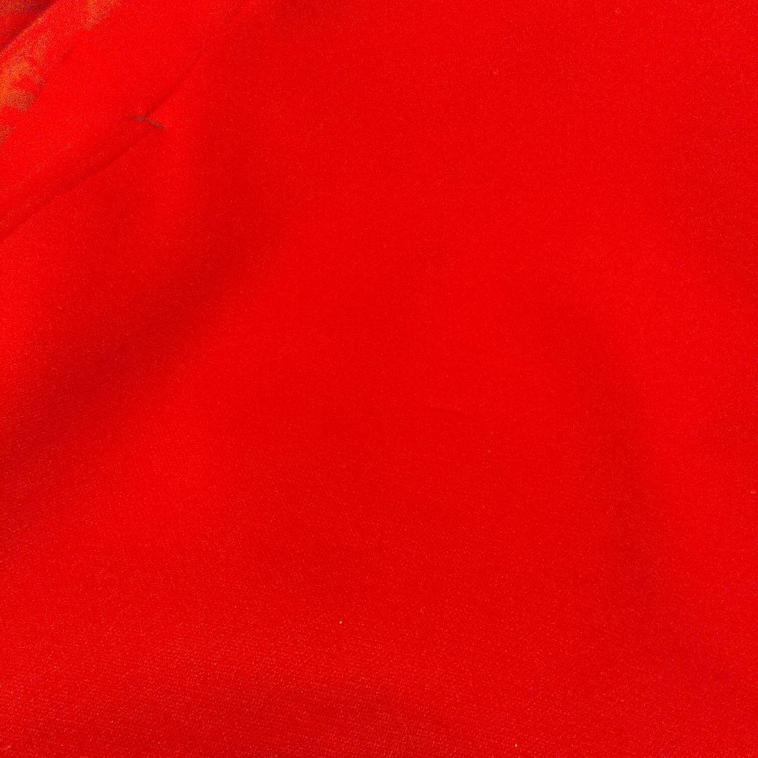 Carp ロゴ入り赤フードパーカー 広島東洋カープ Lサイズ