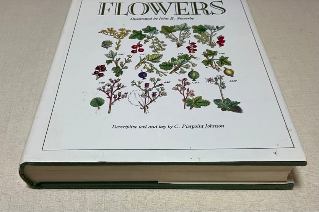 洋書　WORLD FLOWERS 植物画