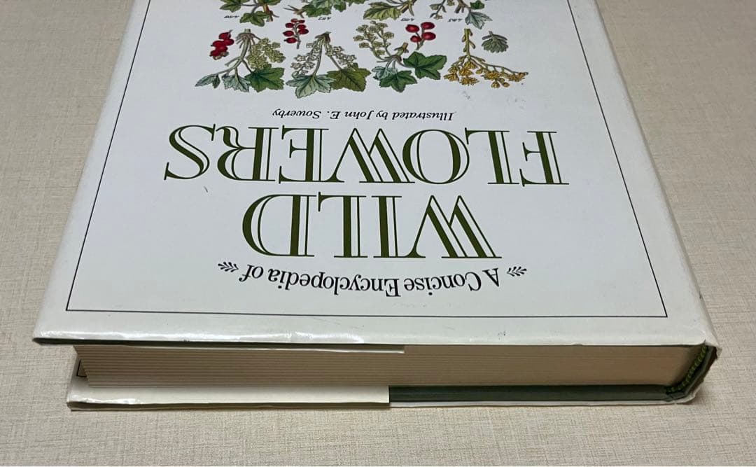 洋書　WORLD FLOWERS 植物画