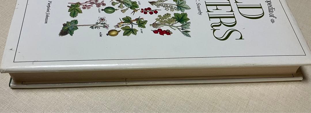 洋書　WORLD FLOWERS 植物画