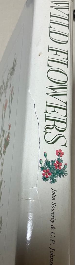 洋書　WORLD FLOWERS 植物画